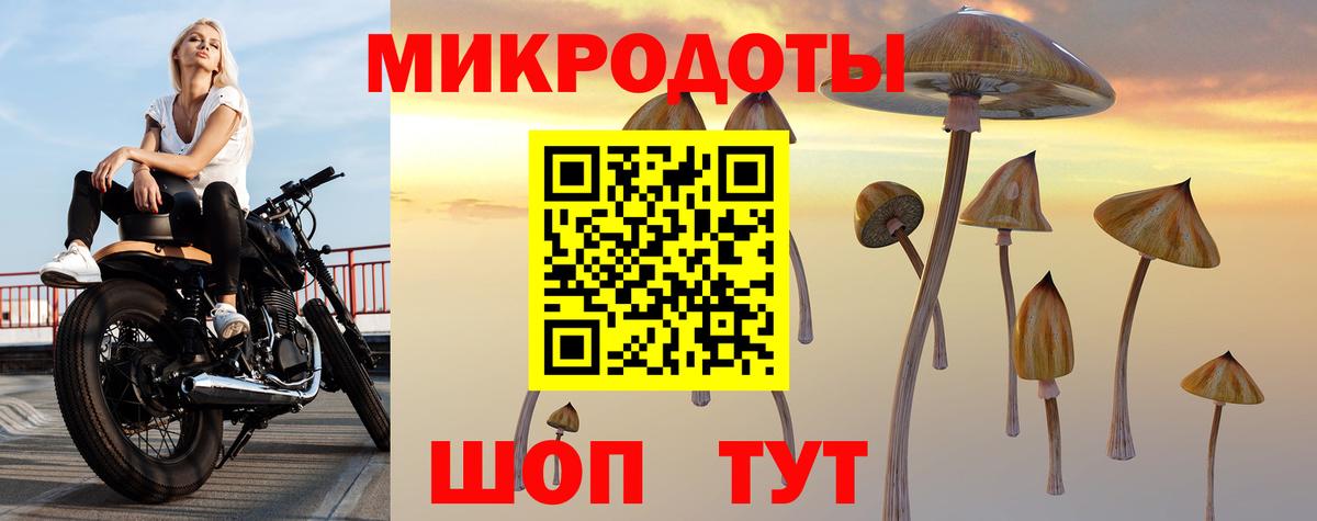 Саранск  Галлюциногенные грибы MAGIC MUSHROOMS  Вход с VPN 